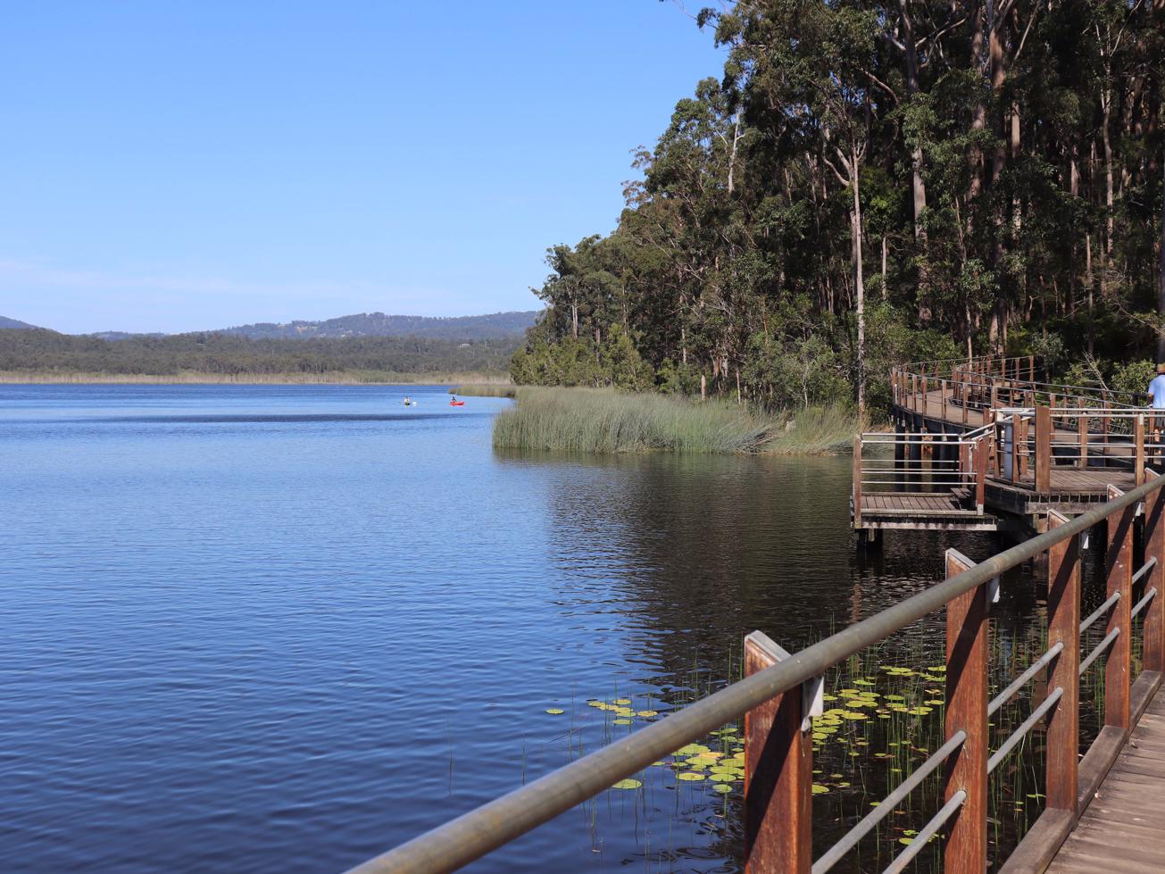 Ewen Maddock Dam Boardwalk Adventure Sunshine Coast